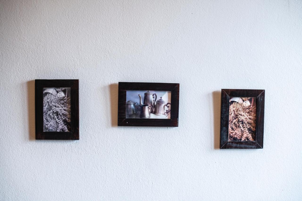 Old Town Studio And Apartment Vrsar Bagian luar foto